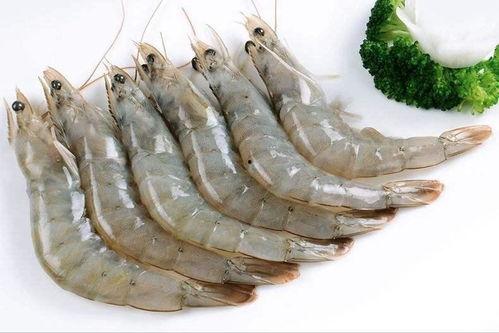 厄瓜多尔大虾爆料视频播放,揭秘养殖过程与市场真相 第3张 厄瓜多尔大虾爆料视频播放,揭秘养殖过程与市场真相 第3张