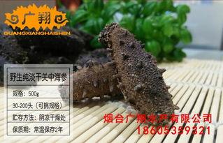烟台海参爆料视频大全最新 第2张 烟台海参爆料视频大全最新 第2张
